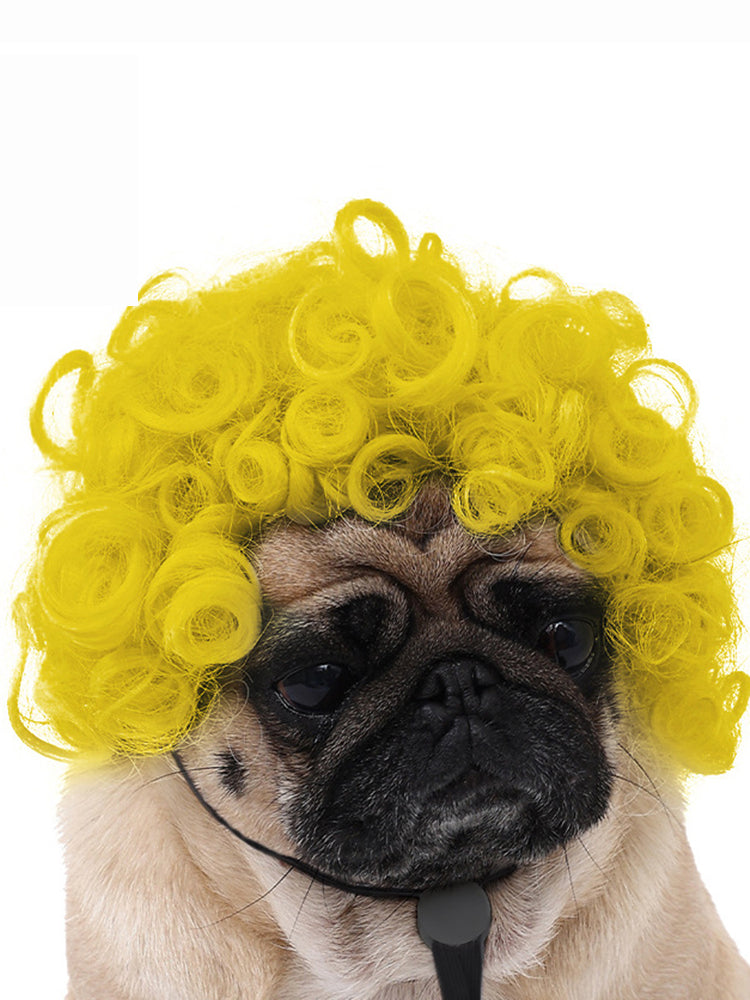 Dog Hair Wig elevenforest