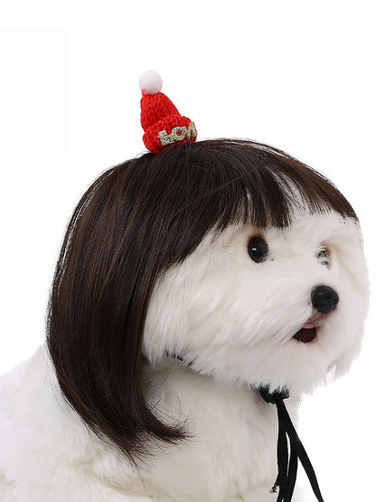 Dog Hair Wig elevenforest