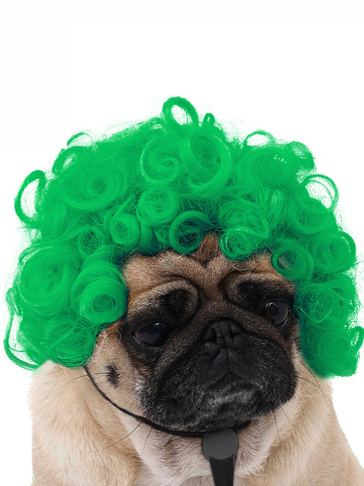 Dog Hair Wig elevenforest