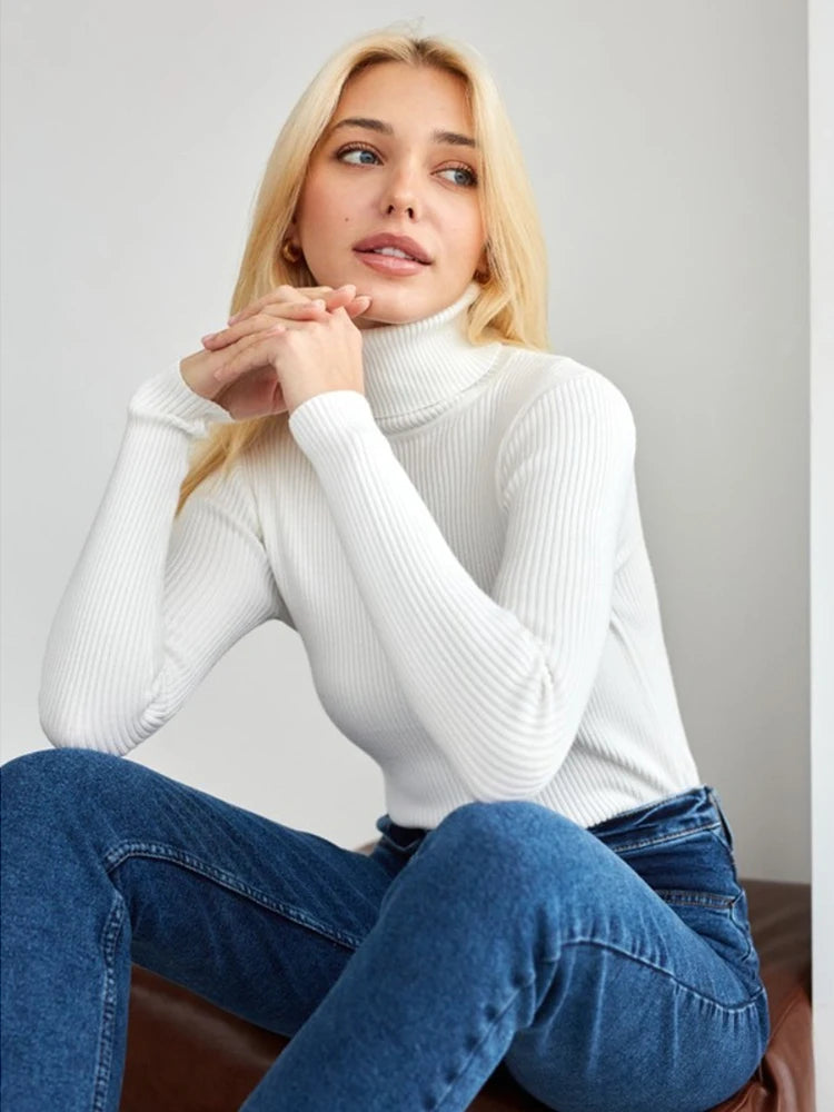 Stilvoll und elegant Pullover