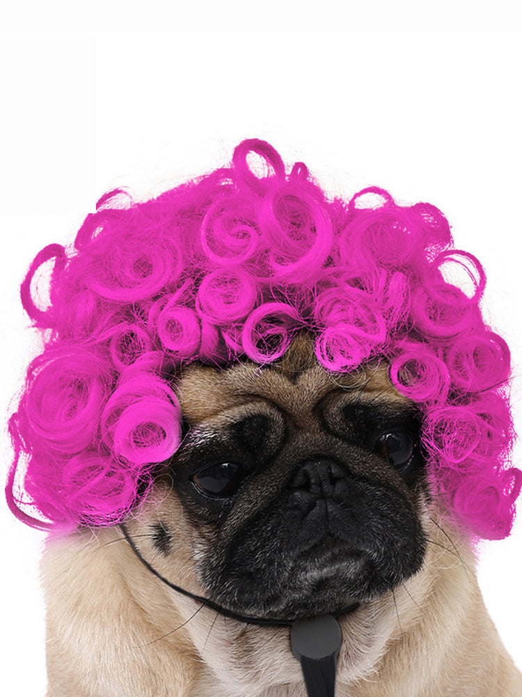 Dog Hair Wig elevenforest
