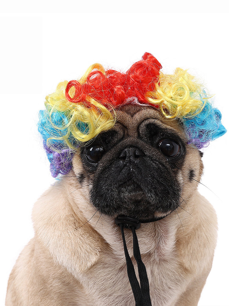 Dog Hair Wig elevenforest