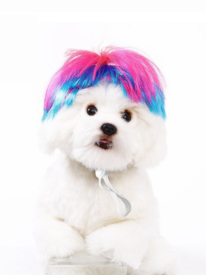 Dog Hair Wig elevenforest